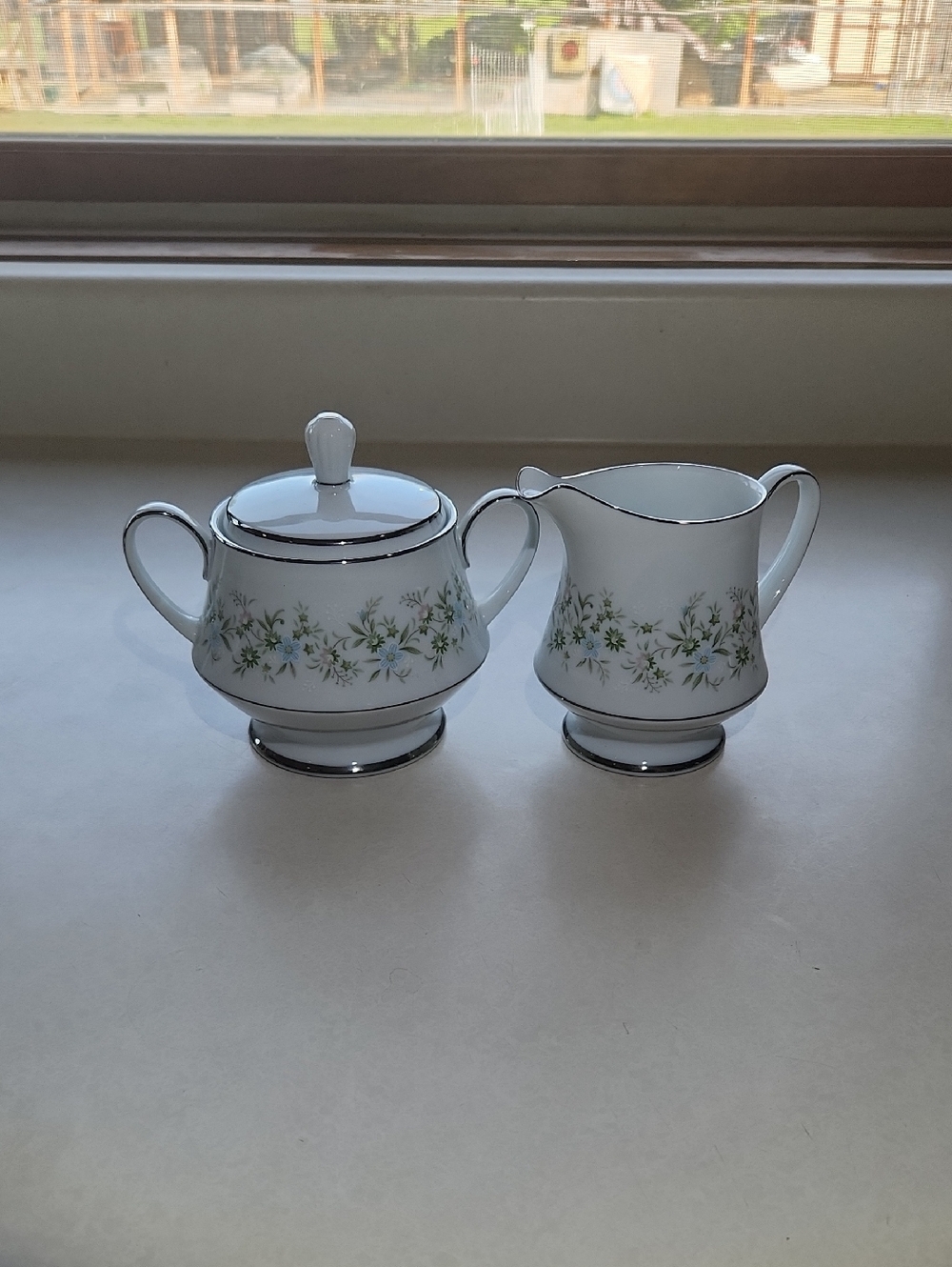Vintage Noritake Savannah Pattern Made In Japan With Platinum Rim